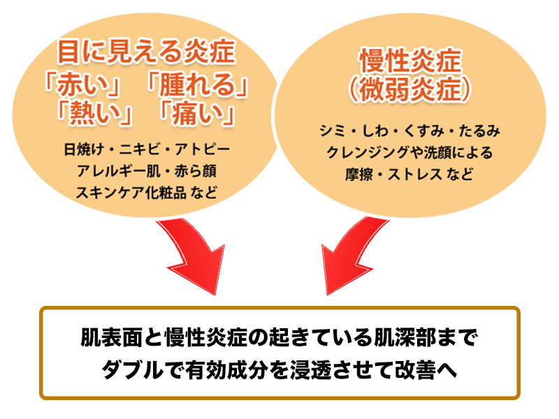 皮膚ケラチンを修復、強化 お肌のバリア機能を高めて肌トラブルにアプローチ